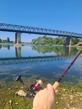 Save (Gradiška)