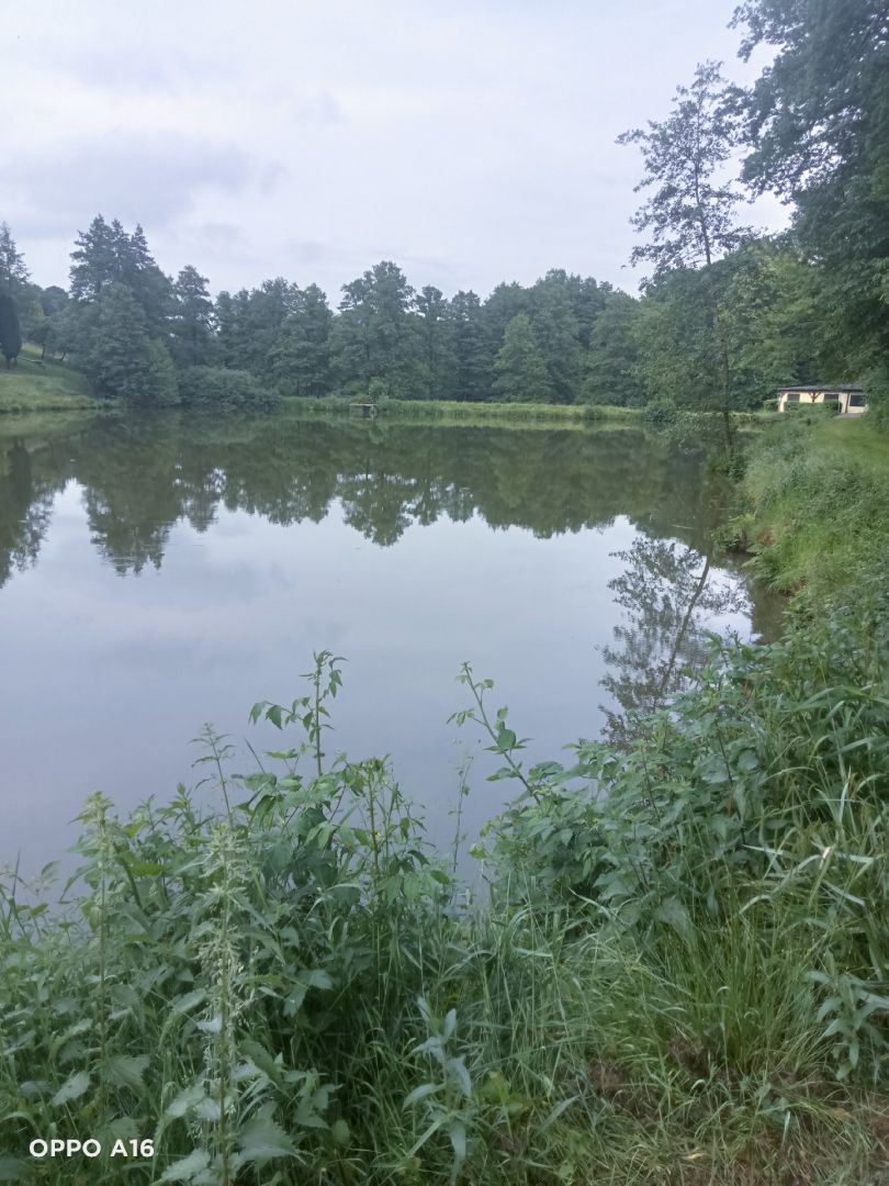Träufelbachsee angeln