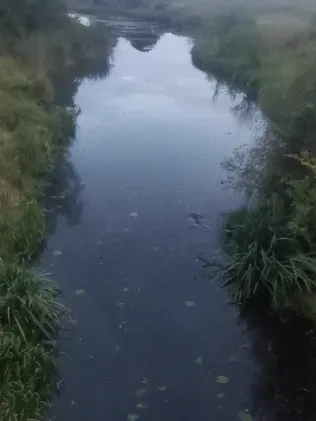 Weinske (Elsnig)