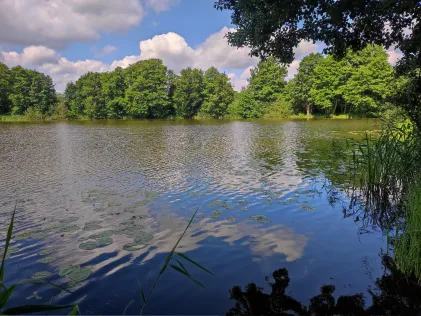 Wilsener See