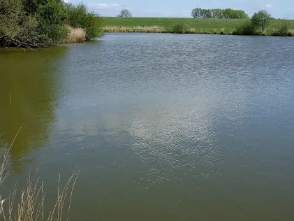 Krautsee (Rechtebe)