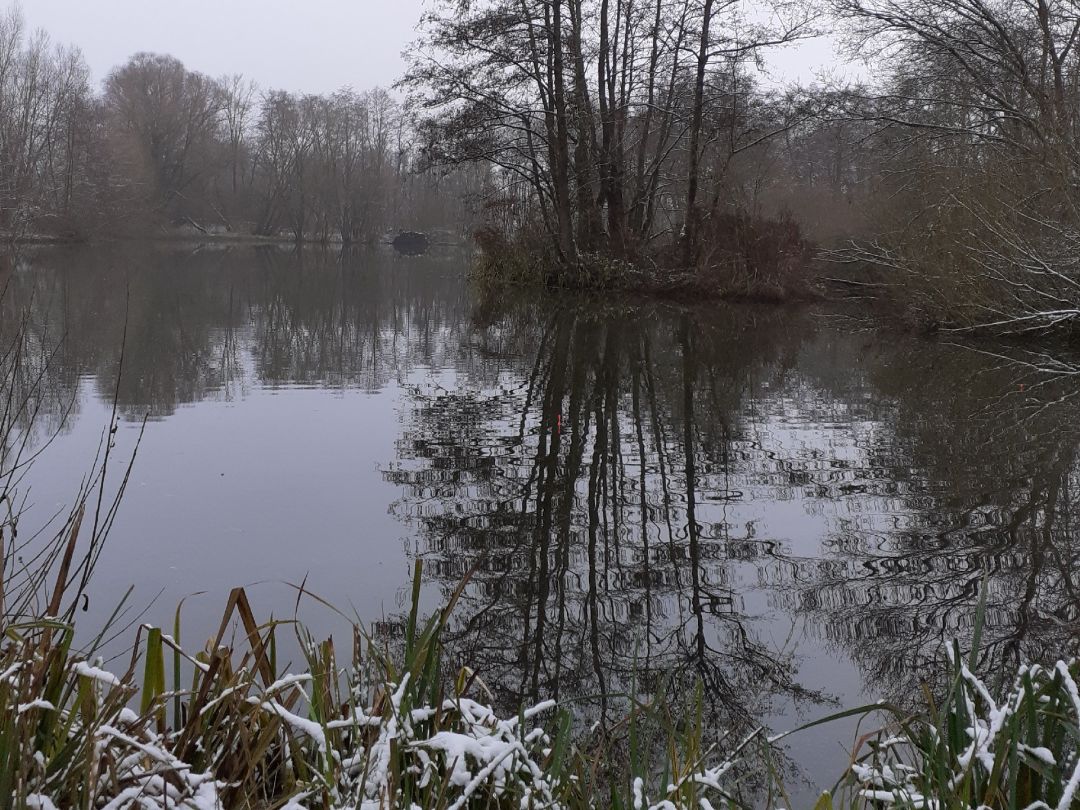 Torfmoor Boienhagen angeln