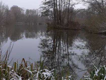 Torfmoor Boienhagen