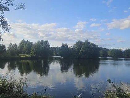 Waldnaab (Weiden i.d. Oberpfalz)