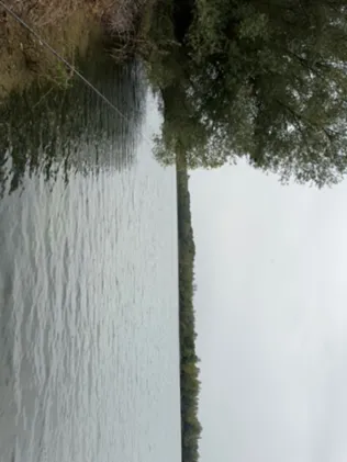 Stöckenbergsee