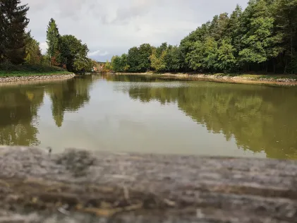 Weiher Thalmannsdorf