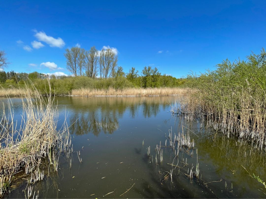 Brennermoor (Bad Oldesloe) angeln