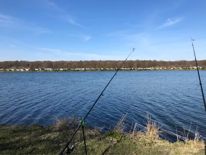 Mookerplas