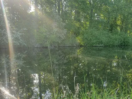 Bode (Etgersleben)