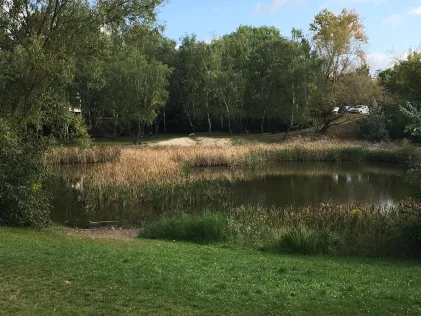 Teich an der Gellertstraße