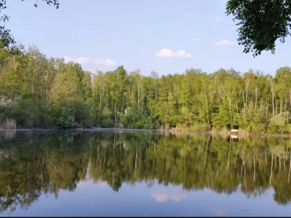 Karauschenweiher (Erftstadt)