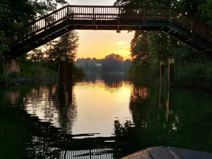 Schwarzer See (Flecken Zechlin)