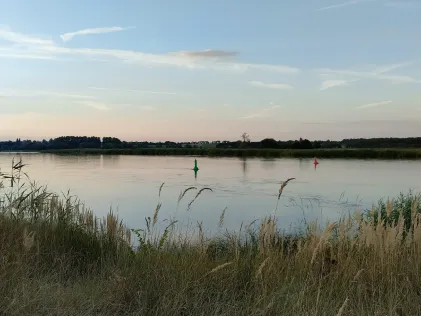 Oder (Groß Neuendorf)