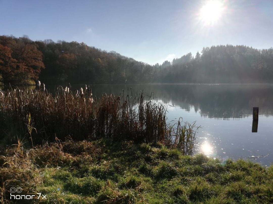 Immerather Maar angeln