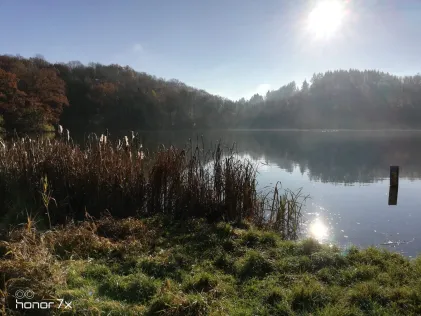 Immerather Maar