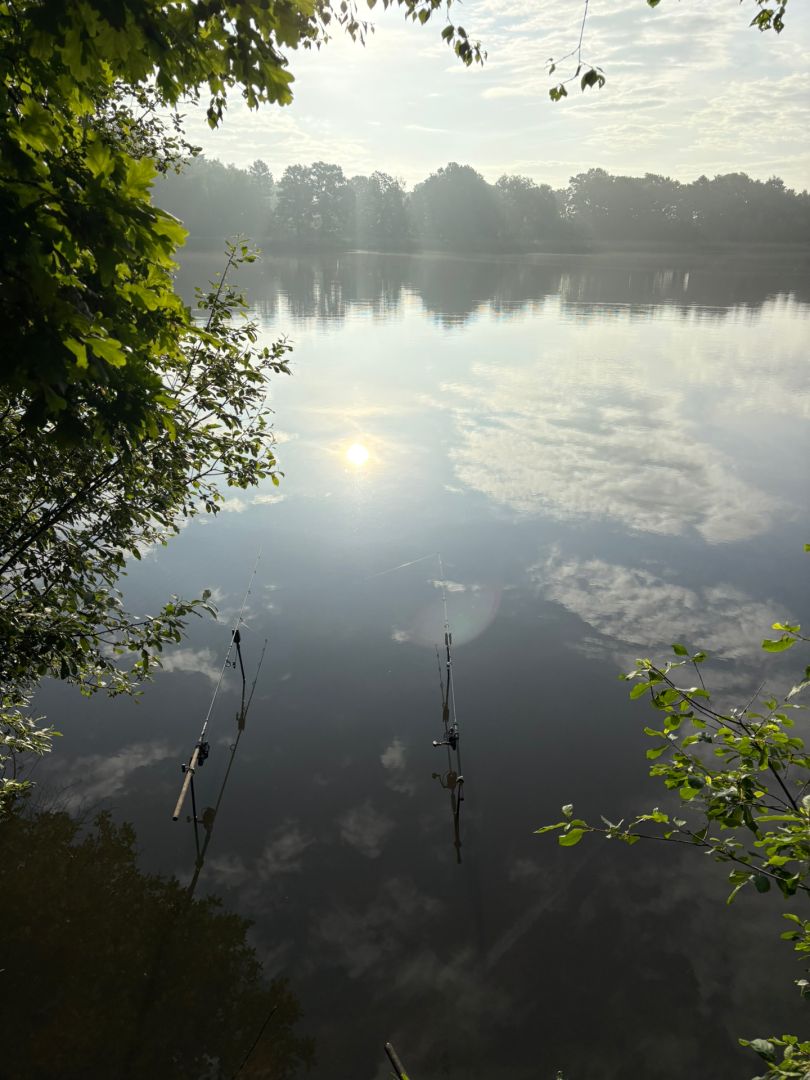 Angeln in Westerstede