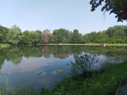 Stau Reifenstein
