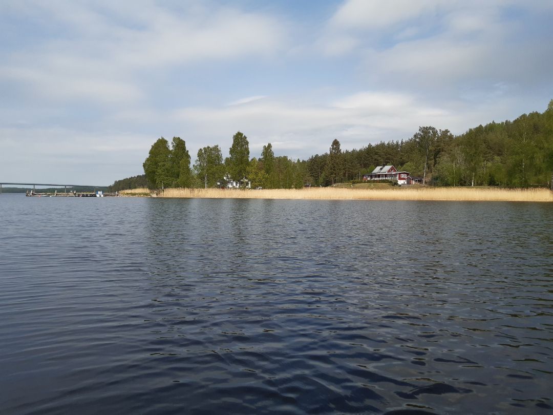 Gårdsjön angeln