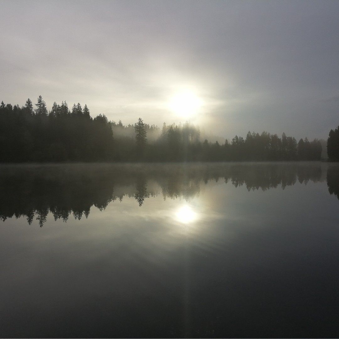 Prinzenteich (Clausthal-Zellerfeld) angeln