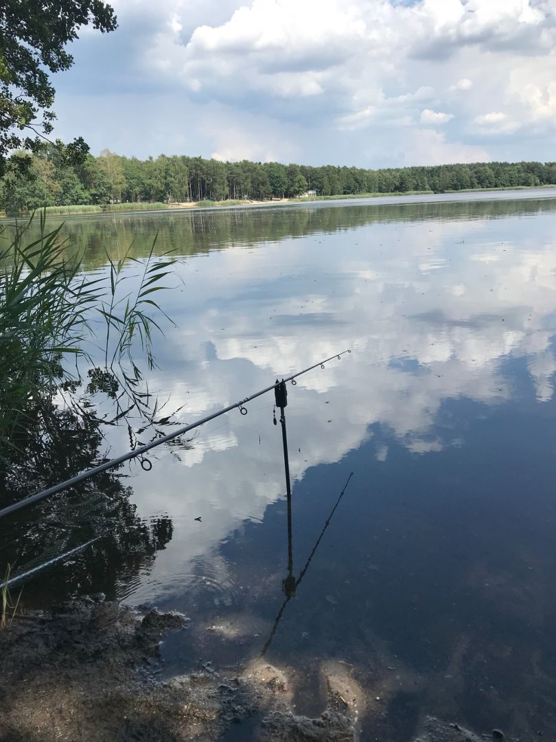 Dammmühlenteich (Schönfeld) angeln