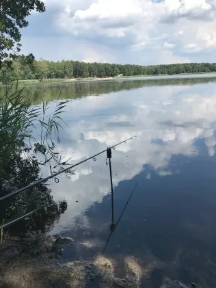 Dammmühlenteich (Schönfeld)