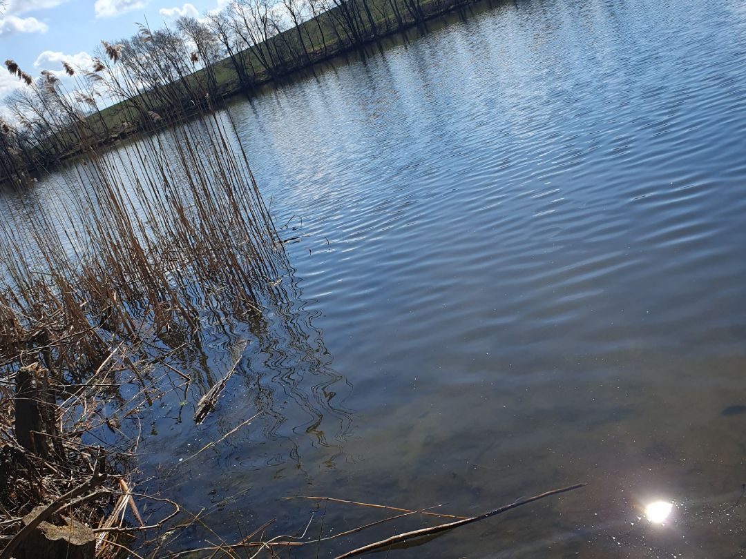 Großer Jahnkesee angeln