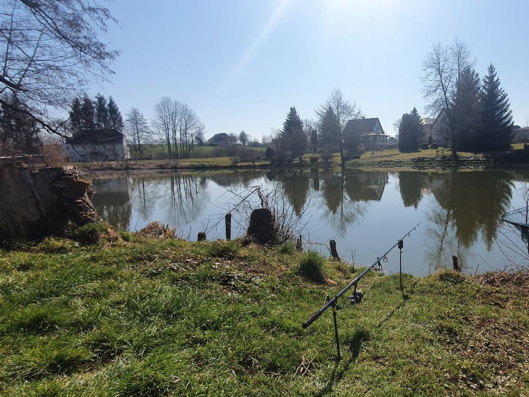 Teich Gimmel angeln