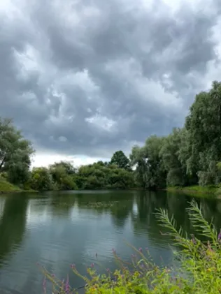 Koverdsche Weide