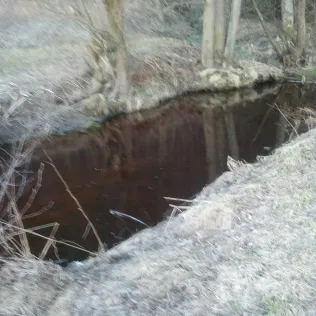 Zottbach