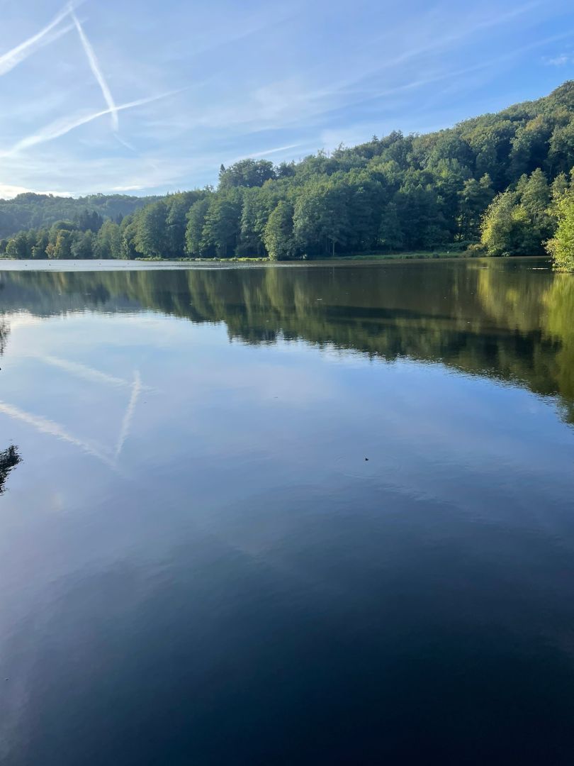 Würzbacher Weiher angeln