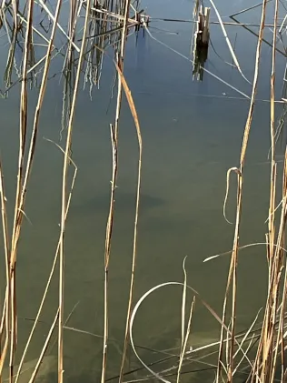 Müller´s Loch (Lieskau)