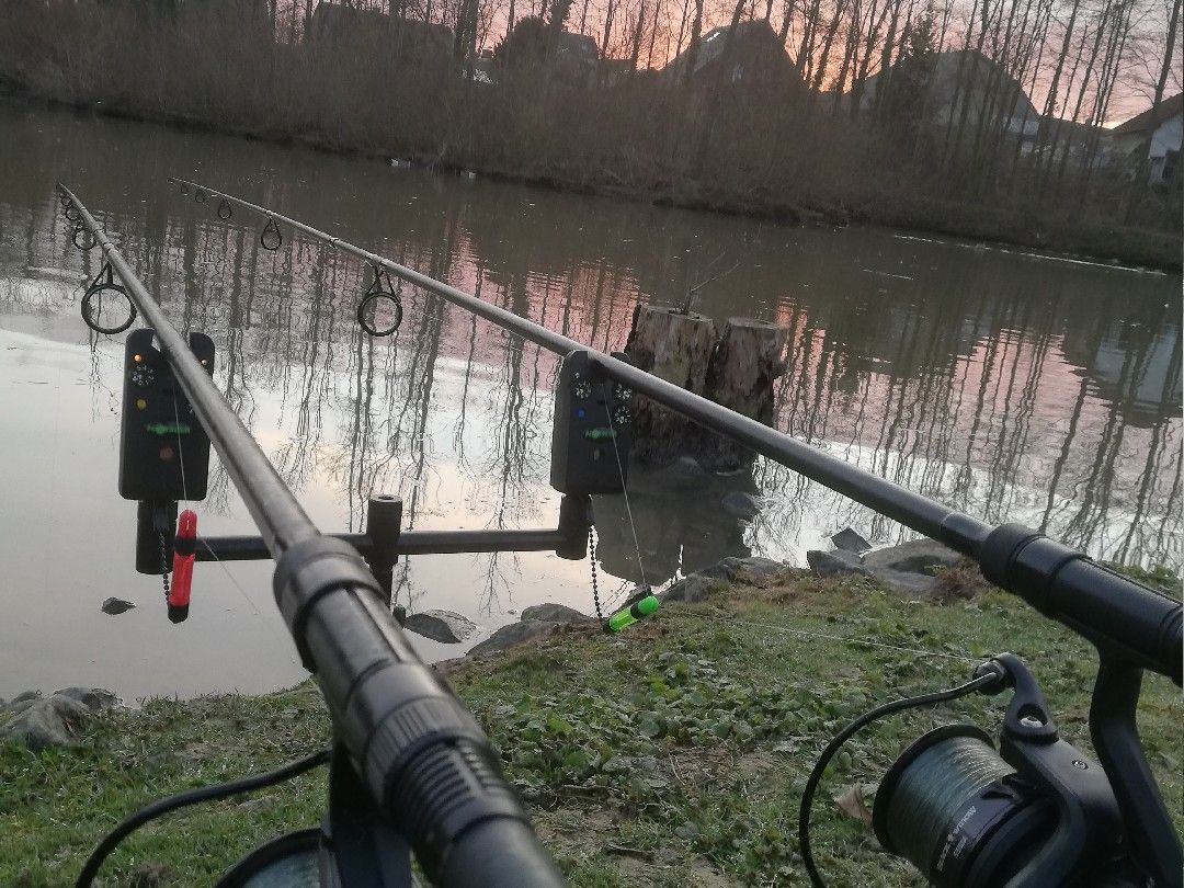 Freizeitparkteich Niederzier angeln