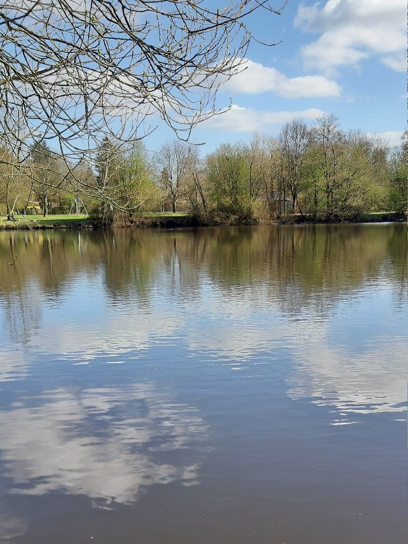 Rückhaltebecken Krohnstieg (Bornbachstausee) angeln