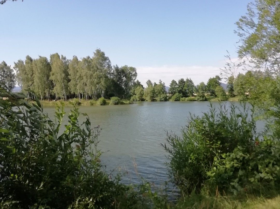 Vereinssee ASV Palandsmühle angeln