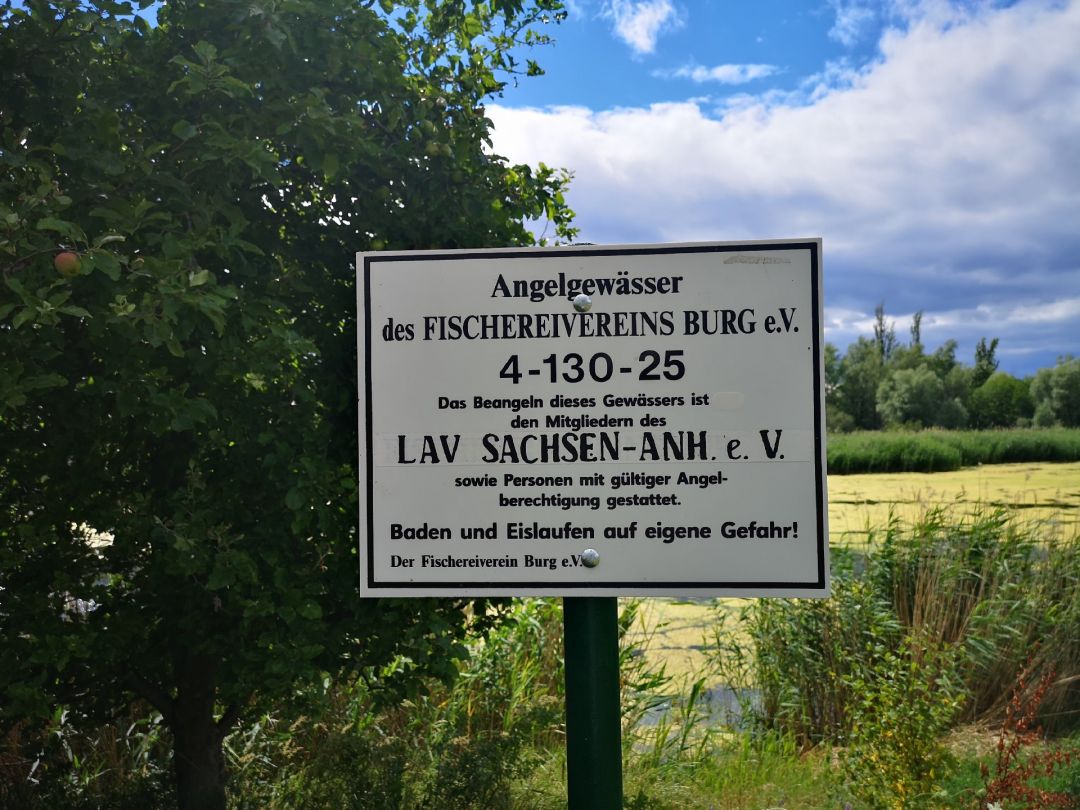 Kiessee Königsborn angeln