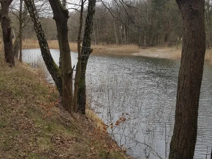 Sommerfelder Kiesgrube