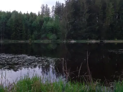 Eulenweiher (Steingaden)