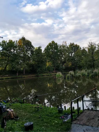 Karpfenteich Biethe (Roßlau)