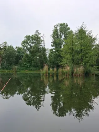 Karpfenteich Biethe (Roßlau)