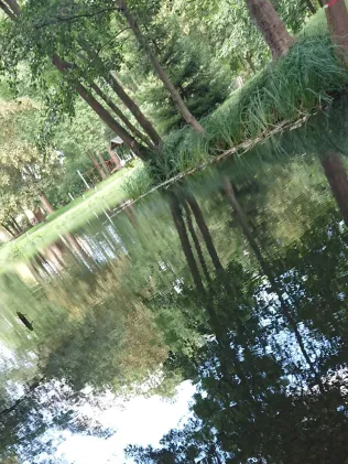 Dorfteich Kreischau