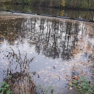 Regenrückhaltebecken Tornesch