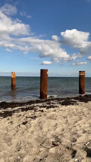 Ostsee (Fehmarn-Niobe)