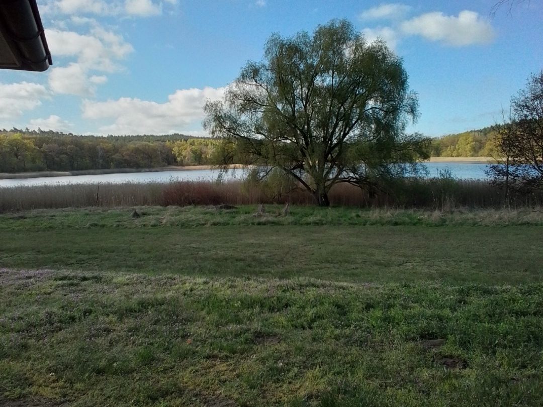 Großer Steben See angeln