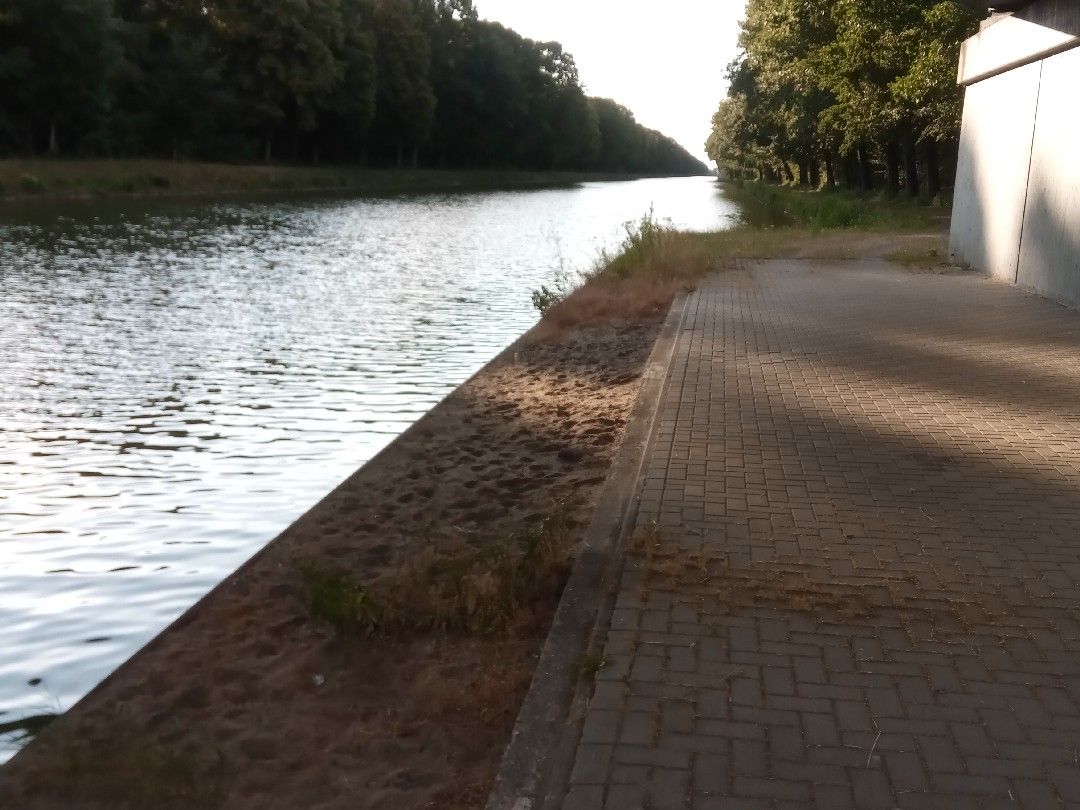 Dortmund-Ems-Kanal (Spelle) angeln