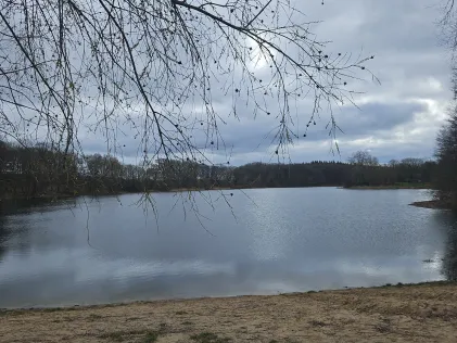 Hohenseer See