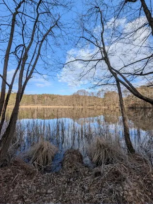 Rohrsee (Zwenzow)