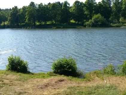 Kranicher Teich (Hahnenklee)