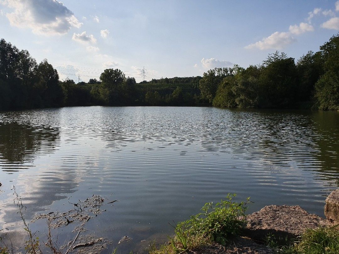 Baggersee Benningen a.N. angeln