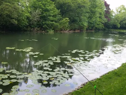 Seniorengraben (Hildesheim)