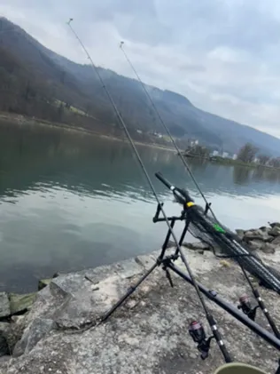 Donau (Jochenstein)